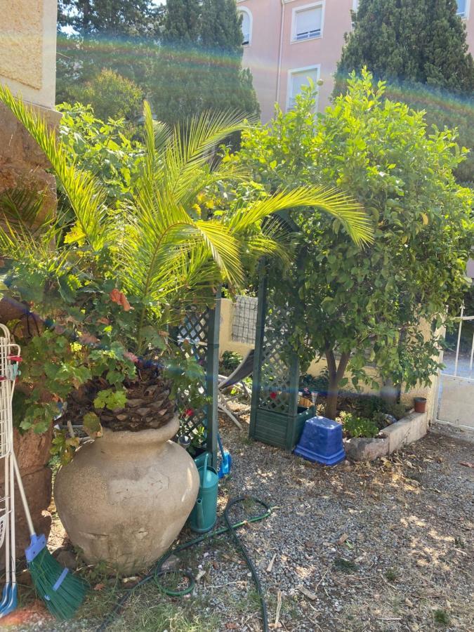Jardin D'Eden Daire Saint-Raphaël Dış mekan fotoğraf
